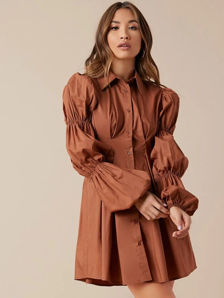 Drama in Brown Dress